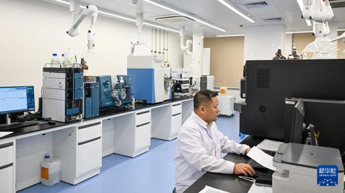 智慧海关助力海南自贸港封关运作平稳有序 技术咨询与服务的核心作用