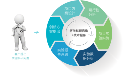 科研咨询与技术服务 构建创新生态的关键双翼